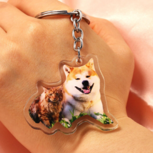 Custom shape Acrylic Keychain